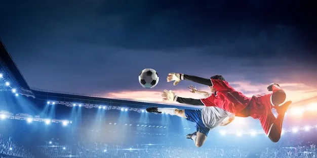 满冠体育 客户服务中心